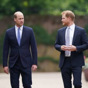 Prince Harry x Prince William