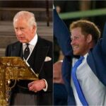 King Charles x Prince Harry 